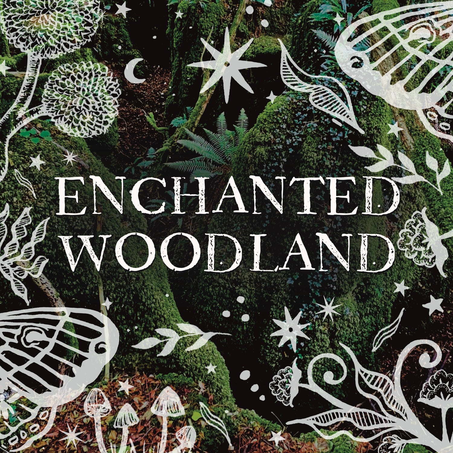 Enchanted Woodland
